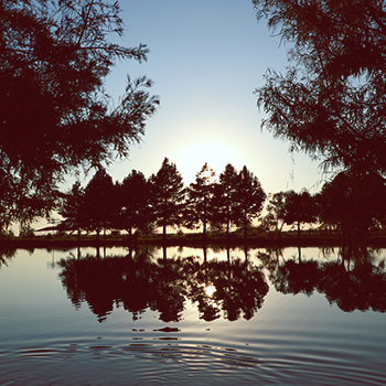 Burning Tree Ranch Property