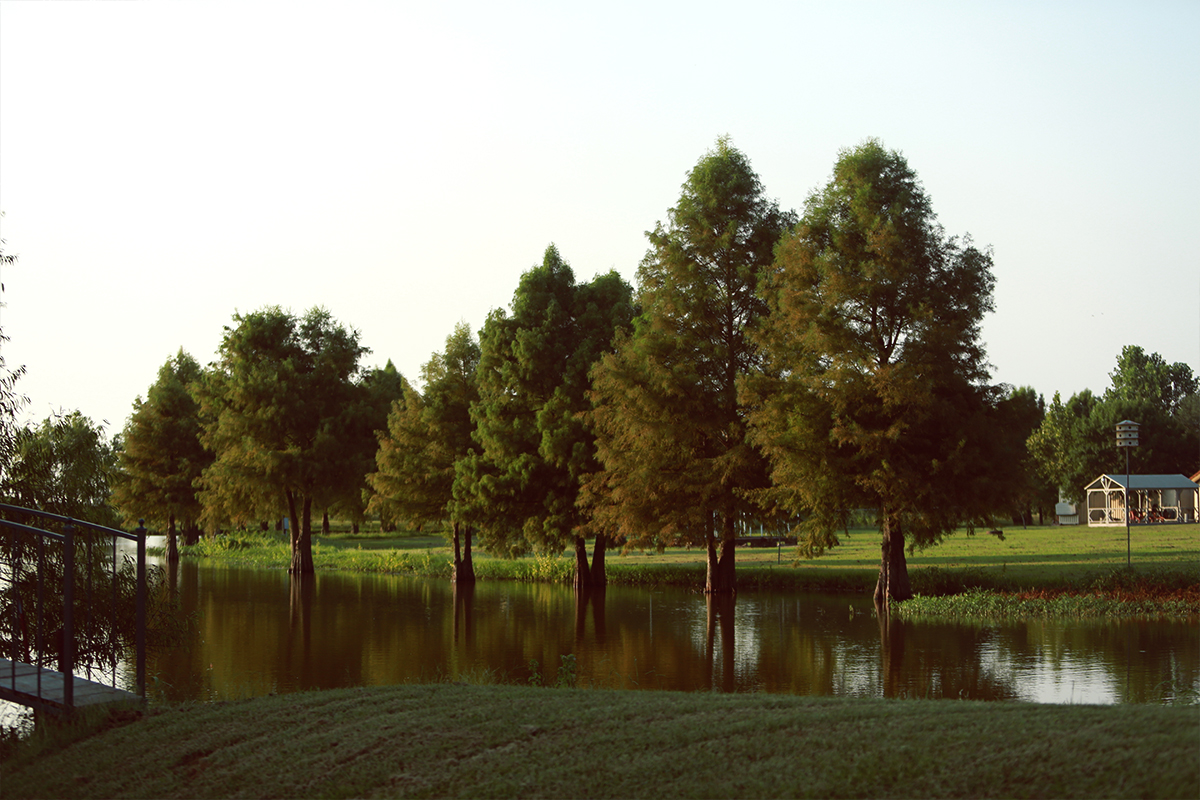 Burning Tree Ranch Pond