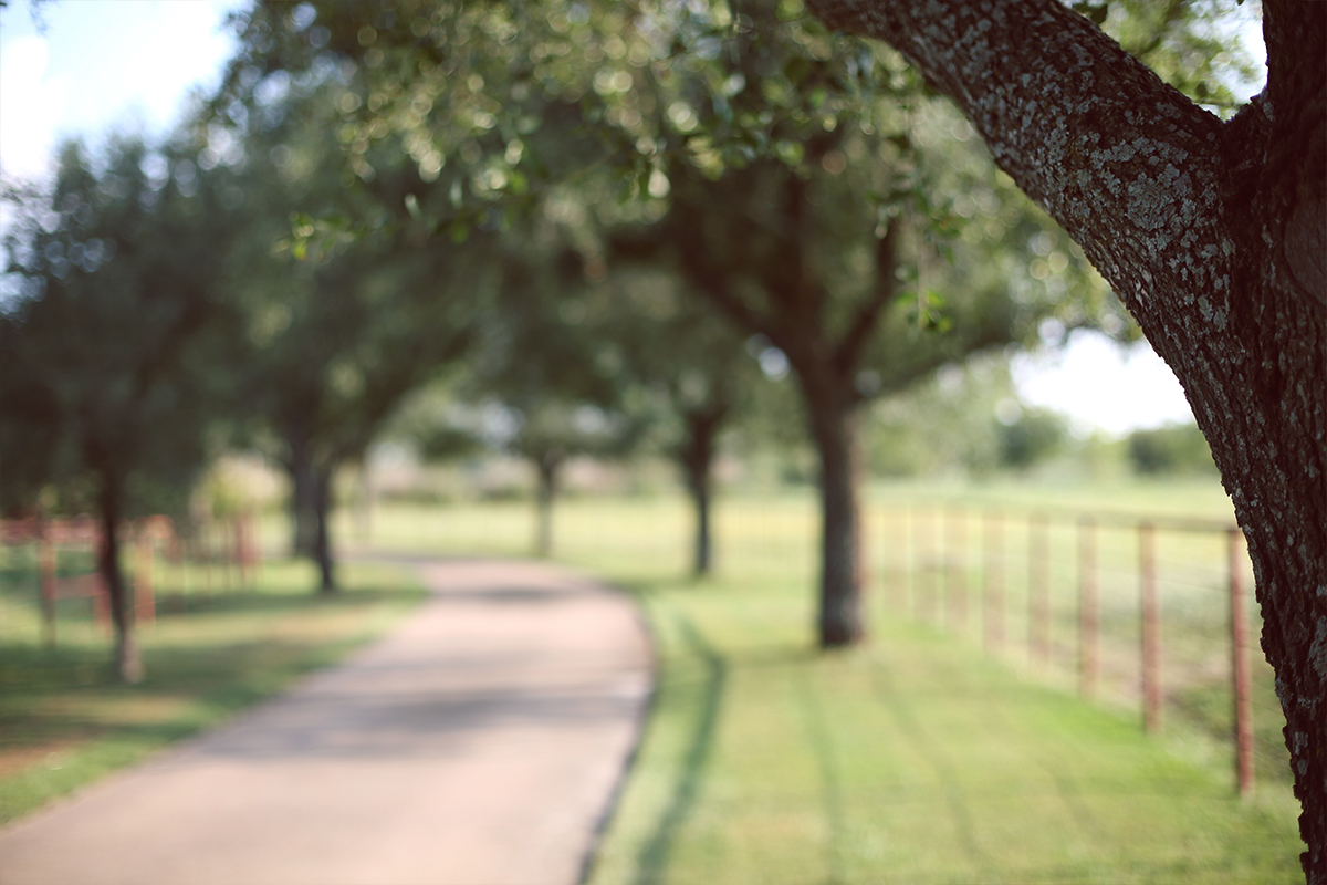 Burning Tree Ranch Walkway