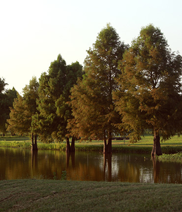 Burning Tree Ranch Property